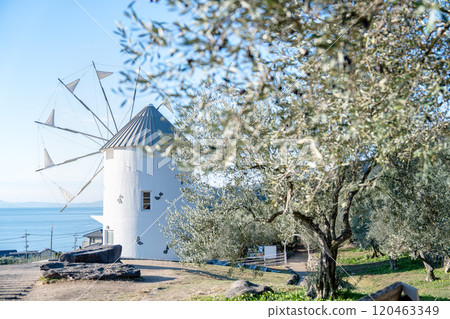 Greek windmill of Shodoshima Olive Park Greek windmill of Shodoshima Olive Park 120463349