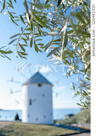 Greek windmill of Shodoshima Olive Park 120463350