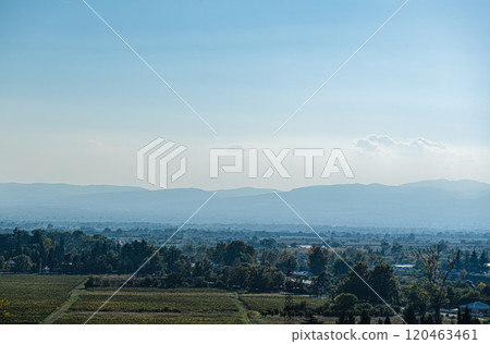 Vaneyards of Kakheti region in Georgia Vaneyards of Kakheti region in Georgia 120463461