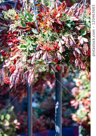 Autumnal composition with ripe fruits and vegetables Autumnal composition with ripe fruits and vegetables 120463665