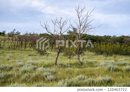 Rural landscape of recreation area around Lisi Lake Rural landscape of recreation area around Lisi Lake 120463722