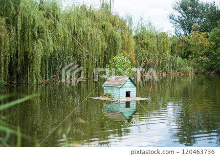 Pond with animals in the park Pond with animals in the park 120463736