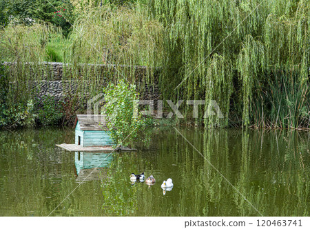 Pond with animals in the park 120463741