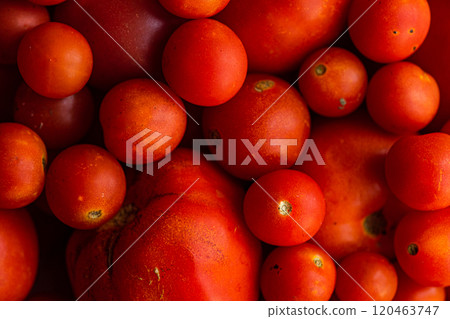 Different variation of tomato vegetable Different variation of tomato vegetable 120463747