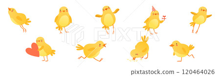 Funny Yellow Chicken Engaged in Different Activity Vector Set 120464026