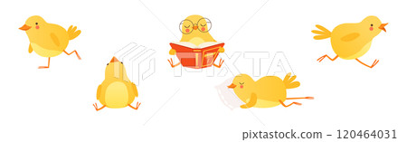 Funny Yellow Chicken Engaged in Different Activity Vector Set Funny Yellow Chicken Engaged in Different Activity Vector Set 120464031