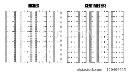 Vertical centimeter and inch scale for measuring length or height. Various measurement scales with divisions. Ruler, tape measure marks, size indicators. Vector illustration 120464615