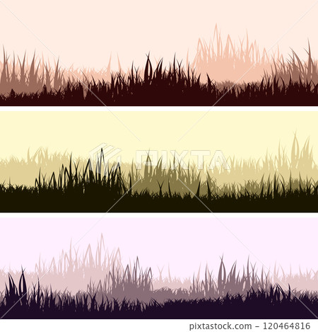 Meadow silhouettes with grass, plants on plain. Panoramic summer lawn landscape with herbs, various weeds. Herbal border, frame. Nature background. Green horizontal banner. Vector illustration 120464816