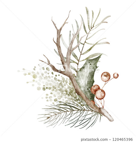 Watercolor holly Christmas ornament. Xmas green bouquet isolated on white background. Hand drawn Winter holiday decoration for design cards, invitation. Watercolor holly Christmas ornament. Xmas green bouquet isolated on white background. Hand drawn Winter holiday decoration for design cards, invitation. 120465396