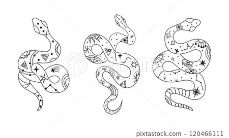 Mystical esoteric snakes illustrated in a clean linear style. The design features symbolic and abstract representations of snakes, perfect for spiritual, occult, or decorative projects. Mystical esoteric snakes illustrated in a clean linear style. The design features symbolic and abstract representations of snakes, perfect for spiritual, occult, or decorative projects. 120466111