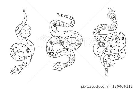 Mystical esoteric snakes illustrated in a clean linear style. The design features symbolic and abstract representations of snakes, perfect for spiritual, occult, or decorative projects. Mystical esoteric snakes illustrated in a clean linear style. The design features symbolic and abstract representations of snakes, perfect for spiritual, occult, or decorative projects. 120466112