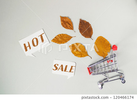 Shopping cart with leaves on it and the words hot sale written below it 120466174