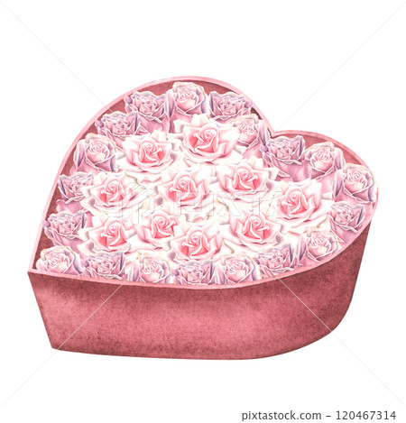 Dusty pink roses in heart shaped red gift box. Hand drawn watercolor illustration of vintage flower bouquet isolated on background. Drawing of present for 14 february romance date. For greeting cards. Dusty pink roses in heart shaped red gift box. Hand drawn watercolor illustration of vintage flower bouquet isolated on background. Drawing of present for 14 february romance date. For greeting cards. 120467314
