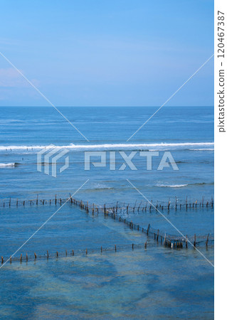 A local seafood farm in the ocean. A net fence for mollusk farming near the shore. A local seafood farm in the ocean. A net fence for mollusk farming near the shore. 120467387
