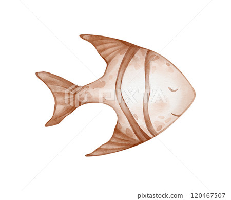 Watercolor of tropical or coral Fish, . Hand drawn illustration of aquarium pet in pastel beige brown colors on isolated background. Drawing of underwater tropical sea animal. Watercolor of tropical or coral Fish, . Hand drawn illustration of aquarium pet in pastel beige brown colors on isolated background. Drawing of underwater tropical sea animal. 120467507