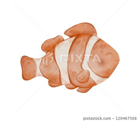 Watercolor clown or nemo Fish, . Hand drawn illustration of aquarium pet in pastel orange brown colors on isolated background. Drawing of underwater tropical sea animal. 120467508