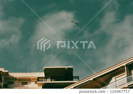 Roofs of residential modern houses against the blue sky and a white seagull soaring in the sky. A resort town. Real estate near the sea. House roof. Roofs of residential modern houses against the blue sky and a white seagull soaring in the sky. A resort town. Real estate near the sea. House roof. 120467757