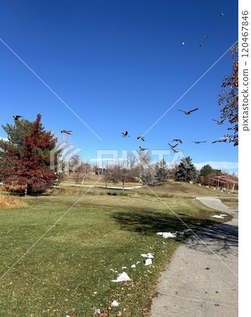 Migratory birds flying off to winter Migratory birds flying off to winter 120467846