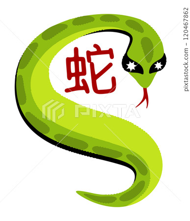 Snake. Bright vector isolated illustration. Happy Chinese New Year. 120467862