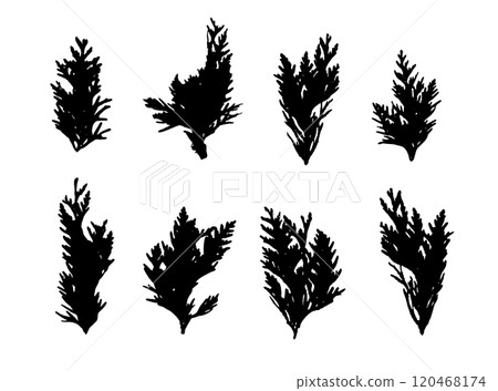 Cypress Twigs Icon, Cupressus Leaf Symbol, Arborvitae Twig, Thuya Sprig Silhouette, Thuja Leaves Cypress Twigs Icon, Cupressus Leaf Symbol, Arborvitae Twig, Thuya Sprig Silhouette, Thuja Leaves 120468174