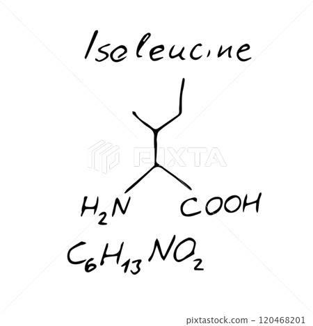 Isoleucine C6H13NO2 molecule formula. Hand drawn imitation of isoleucine structural model 120468201