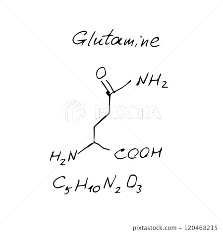 Glutamine C5H10N2O3 molecule formula. Hand drawn imitation of glutamine structural model 120468215