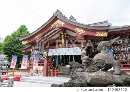 Susanoo Shrine (Minamisenju, Arakawa Ward, Tokyo/June) 120468520