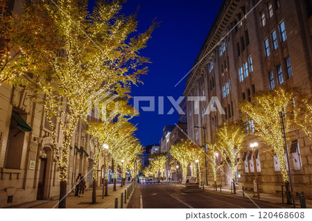 Photographed in the former settlement of Motomachi, Kobe in December, when the city of Kobe sparkles with illuminations. 120468608