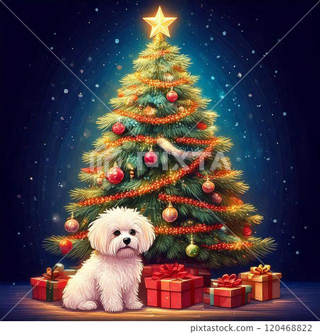 Bichon Frise and Christmas tree 120468822