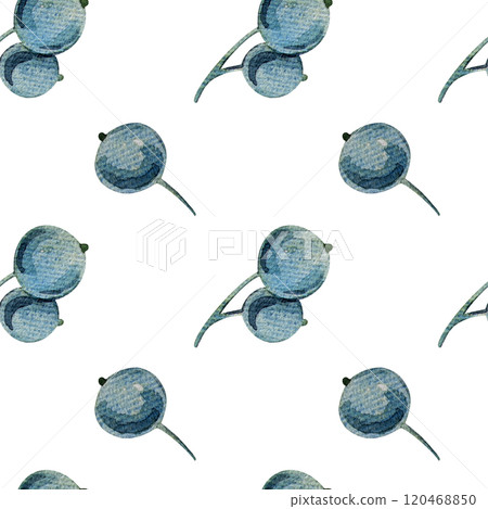 Seamless pattern with watercolor blueberry branches, botanical illustration featuring green leaves and berries. Ideal for natural designs, organic products, decor. Soft, detailed, realistic artwork. Seamless pattern with watercolor blueberry branches, botanical illustration featuring green leaves and berries. Ideal for natural designs, organic products, decor. Soft, detailed, realistic artwork. 120468850
