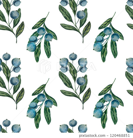 Seamless pattern with watercolor blueberry branches, botanical illustration featuring green leaves and berries. Ideal for natural designs, organic products, decor. Soft, detailed, realistic artwork. 120468851