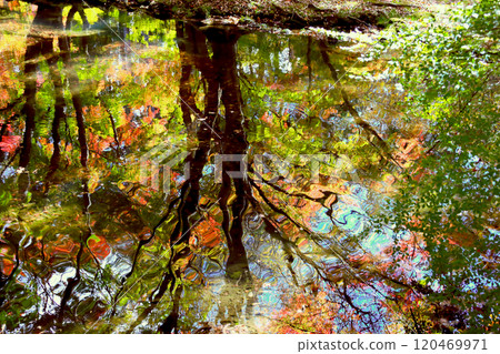 秋葉倒映在水面上 秋葉倒映在水面上 120469971