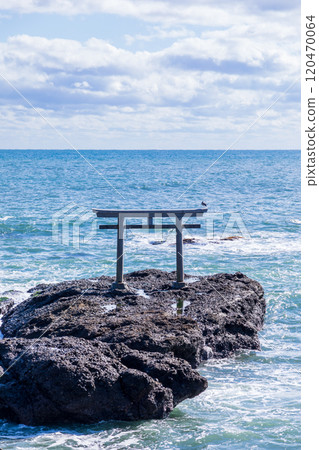 "Ibaraki Prefecture" Isosaki Shrine's Sea Torii Gate, Oarai Beach "Ibaraki Prefecture" Isosaki Shrine's Sea Torii Gate, Oarai Beach 120470064