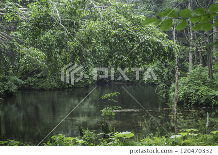 Mysterious god's pond 120470332