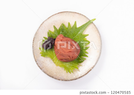 [和歌山縣生產]紀州南高目 120470585