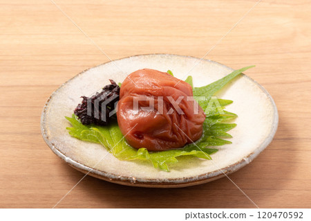 [Wakayama Prefecture] Kishu Nanko Plum 120470592