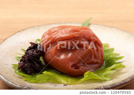 [Wakayama Prefecture] Kishu Nanko Plum 120470593