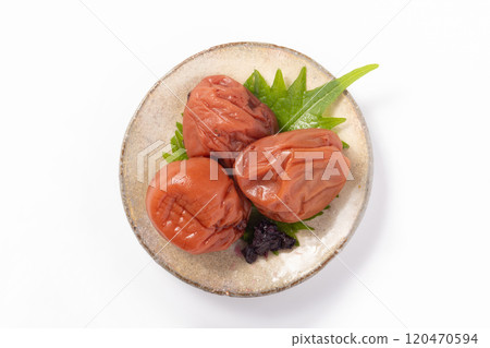 [Wakayama Prefecture] Kishu Nanko Plum 120470594