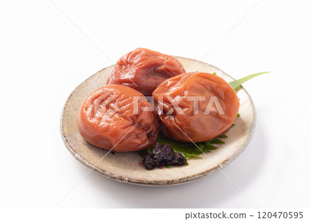 [Wakayama Prefecture] Kishu Nanko Plum 120470595