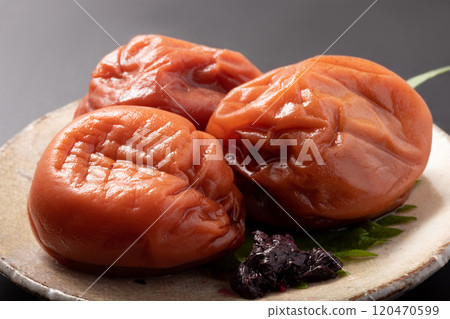 [和歌山縣生產]紀州南高目 120470599