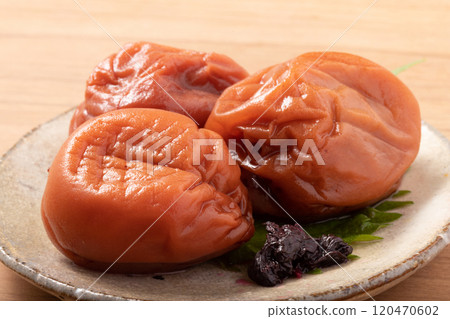 [和歌山縣生產]紀州南高目 120470602