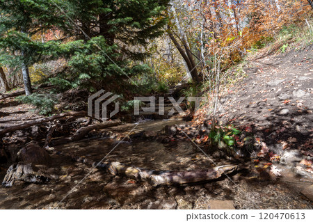 A flowing stream surrounded by fall colors up in Millcreek Canyon, Utah. A flowing stream surrounded by fall colors up in Millcreek Canyon, Utah. 120470613