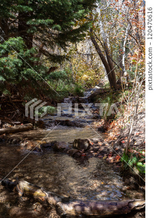 A flowing stream surrounded by fall colors up in Millcreek Canyon, Utah. 120470616