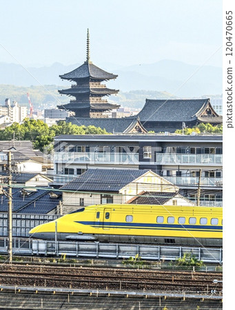 以東寺為背景，受歡迎的黃狗黃博士爬上山，在京都鐵道博物館的屋頂上奔跑歡呼。 120470665