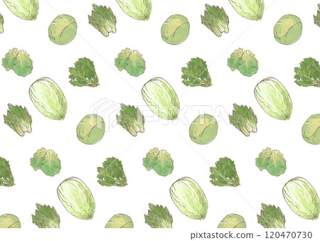 Vegetable seamless pattern hand drawn green illustration_Chrysanthemum, Chinese cabbage, cabbage, lettuce, mizuna_white background 120470730