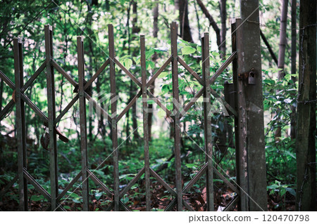 A locked fence in the woods 120470798