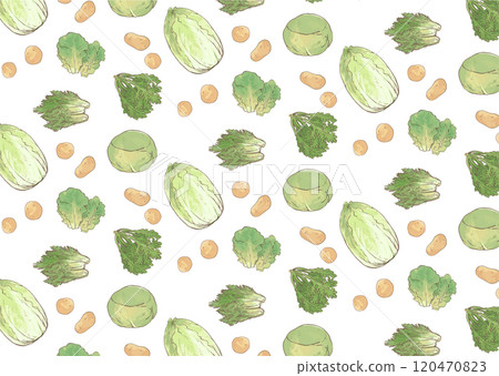 蔬菜無縫圖案手繪插畫_馬鈴薯、花環菊花、大白菜、高麗菜、三楚、水菜_白色背景 120470823