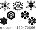 Snow Crystal Silhouette 120470866