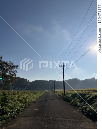 Country road and sunrise 120471183