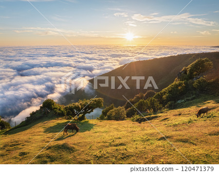 Aerial view of sunrise above clouds on Madeira island, Portugal Aerial view of sunrise above clouds on Madeira island, Portugal 120471379